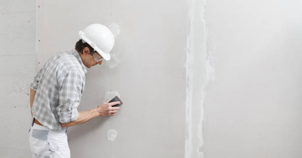 Best Mold Remediation for Healthcare Facilities  in Mason Neck, VA
