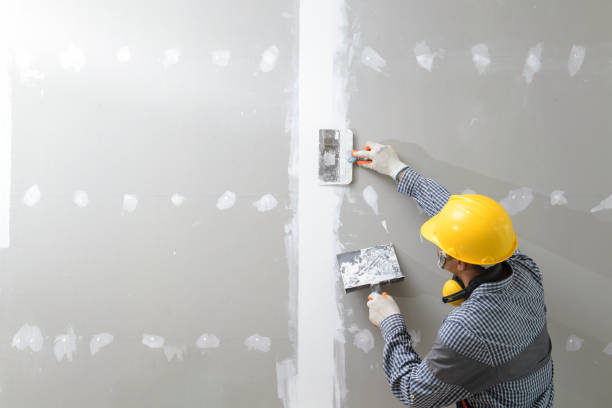 Mold Removal for HVAC Installations in Mason Neck, VA