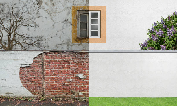 Best Water Damage & Mold Remediation  in Mason Neck, VA